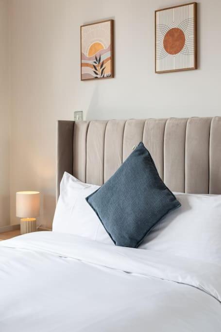 Modern Penthouse Apartment 2 Bed, 2 Bath Sleeps 6 City Centre ベルファスト エクステリア 写真
